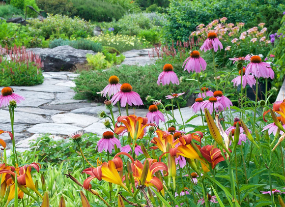 Year Round Pollinator Garden Ideas