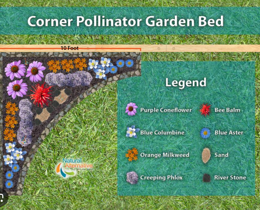Organic Pollinator Garden Tips