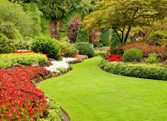 Pollinator Garden Layout Ideas