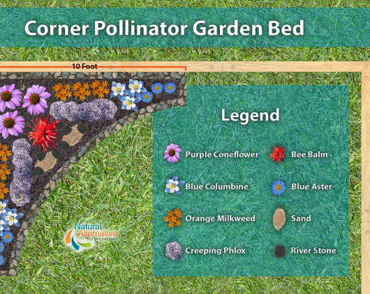 How to Build a Bee Friendly Garden