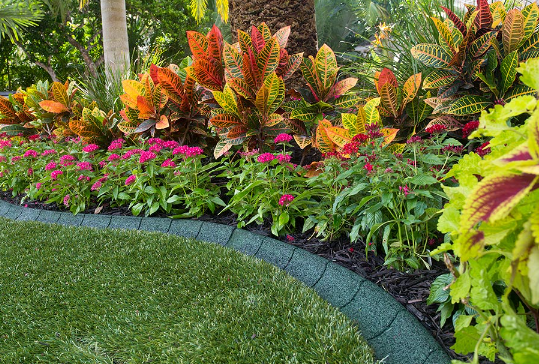 Garden Edges for Butterfly Gardens