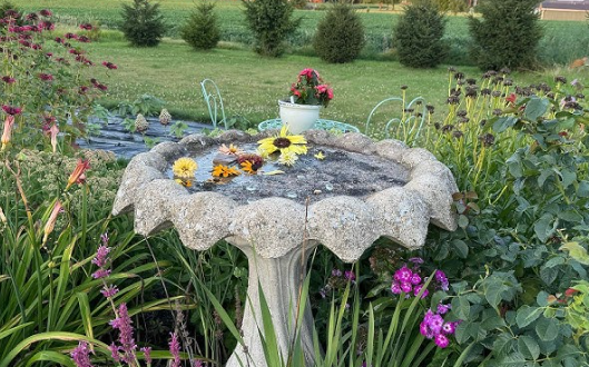 Adding a Butterfly Bath to Gardens