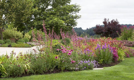 Modern Pollinator Garden Ideas