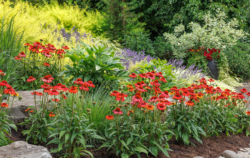 Creating Shade in Pollinator Gardens