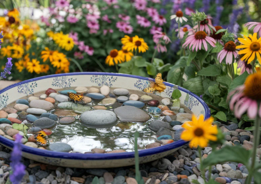 Pollinator Garden Water Sources