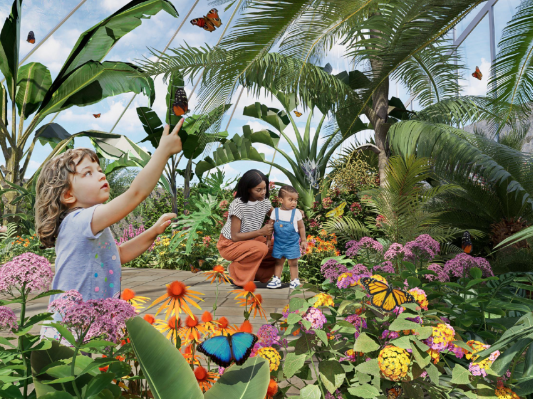 Butterfly Garden for Kids
