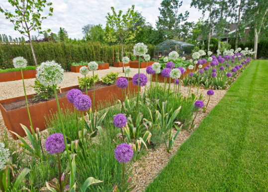 Urban Pollinator Garden Ideas