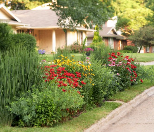 Butterfly Garden Landscaping Ideas