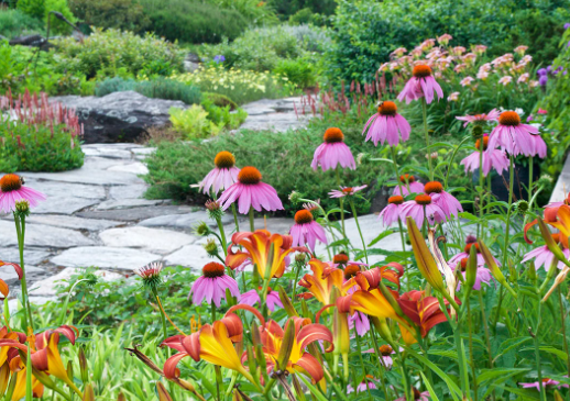 Pollinator Friendly Garden Inspiration
