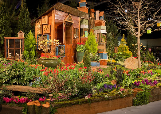 Creating a Garden for Butterflies and Bees