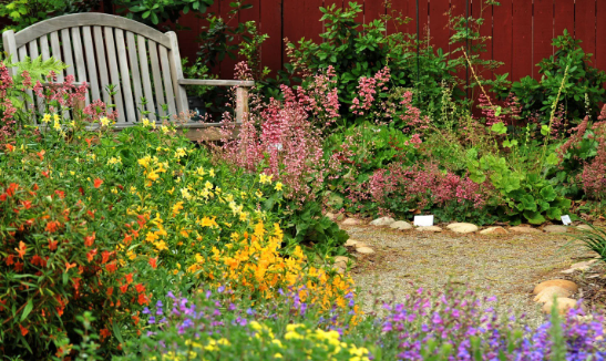 Creating a Peaceful Pollinator Garden