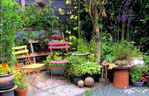 Transforming Your Yard into a Pollinator Garden