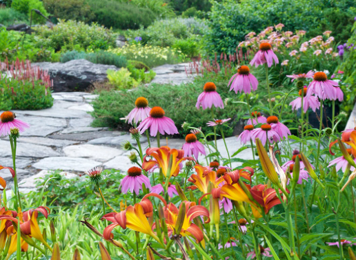 Designing a Sustainable Pollinator Garden