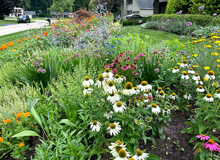 Pollinator Friendly Garden Maintenance
