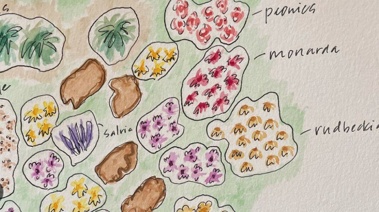 Seasonal Pollinator Garden Planning