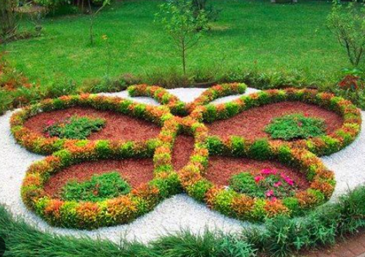 Flower Beds for Butterfly Gardens