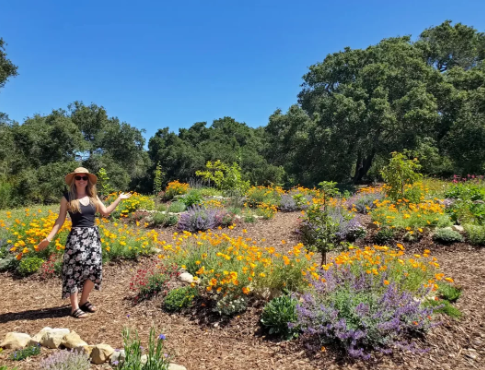 Pollinator Garden Tree Ideas