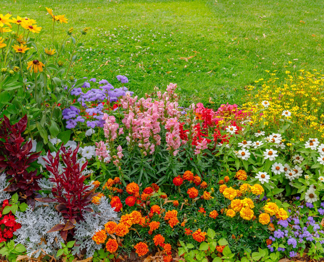 Bee Friendly Garden Design Tips